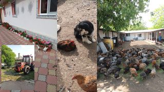 Povestea rom&acirc;nilor care au reunțat la str&acirc;inătate pentru păm&acirc;nturile natale: &bdquo;Ne-am &icirc;ntors acasă&ldquo;