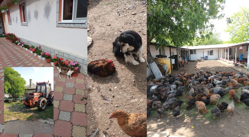 Povestea românilor care au reunțat la strâinătate pentru pământurile natale: „Ne-am întors acasă“