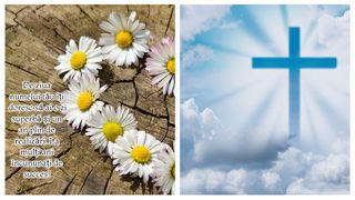 Ce nume se sărbătoresc de Rusalii 2023?