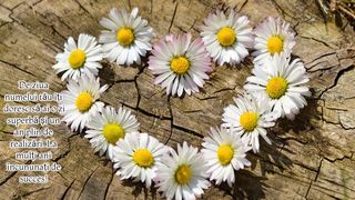 Mesaje de Rusalii 2023