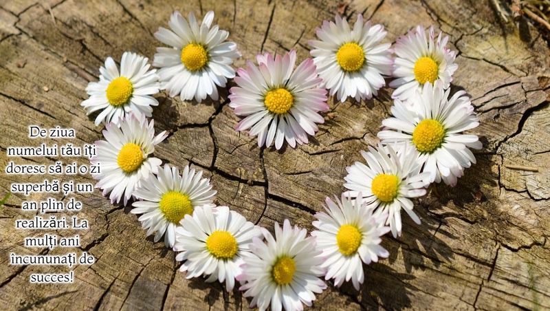 Mesaje de Rusalii 2023