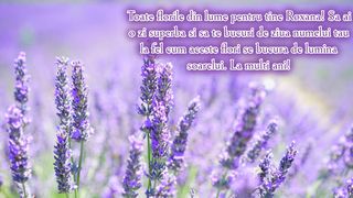 Urări de Rusalii 2023: Mesaje și felicitări frumoase. La mulți ani pentru sărbătoriții zilei! „Să ai o zi superbă și să te bucuri de ziua numelui tău”