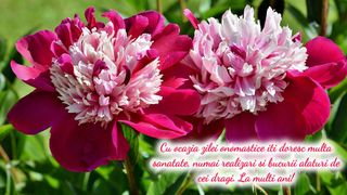 Felicitări de Rusalii 2023. 