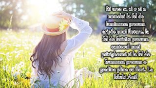 Felicitări de Rusalii 2023. 