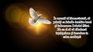 Felicitări de Rusalii 2023. 