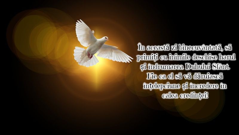 Felicitări de Rusalii 2023. 