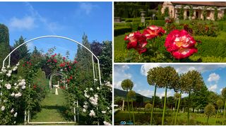 Prețul biletului este de 20 de lei de persoană.