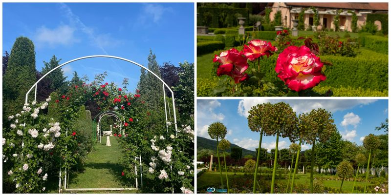 Prețul biletului este de 20 de lei de persoană.