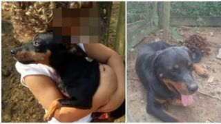 Potrivit proprietarului câinelui erou, Aderaldo Bergamo, Rottweilerul aparține unui vecin și a atacat anterior alte persoane. 