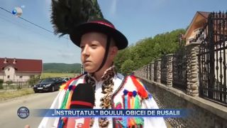 &rdquo;&Icirc;nstruțatul&rdquo; boului, obicei de Rusalii