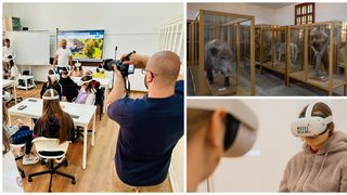 EXCLUSIV: Sute de elevi din mediul rural au putut vizita muzee cu realitatea virtuală/ Nicoleta Felea: ”Ne propunem să facilităm accesul la cultură al elevilor”