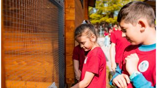 Primul adăpost pentru pisicile abandonate din Rom&acirc;nia, deschis la T&acirc;rgu Secuiesc