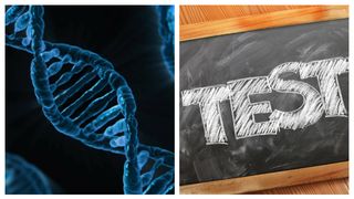 Programă BAC 2023 Biologie. Ce au de &icirc;nvățat candidații pentru proba la Biologie?