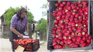 VIDEO - Prosperitate în fața porții: Fermierii revitalizează sezonul cumpărăturilor, direct de la sursă