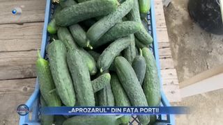 &bdquo;Aprozarul&rdquo; din fața porții