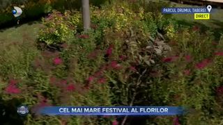 Cel mai mare festival al florilor