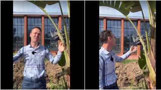 Robert Negoiță aduce o notă excentrică &icirc;n Hala Laminor cu palmieri orizontali transformați &icirc;n băncuțe