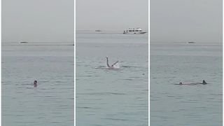 Momentul șocant în care tânărul rus de 20 de ani este sfârtecat de rechin în Marea Roșie, Egipt