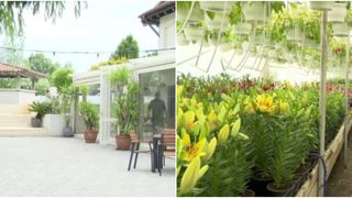 VIDEO -O comună din Dolj devine magnet pentru antreprenori: Ulițele s-au transformat în centre de afaceri