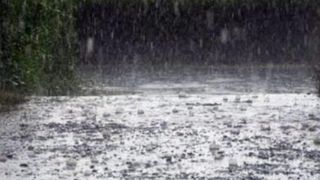 Ploaia torențială a inundat străzi din Timișoara. Locuitorii au fost avertizați prin mesaj Ro-Alert