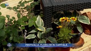 Festivalul Florilor in Capitala