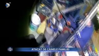 Atacat de cainele familiei