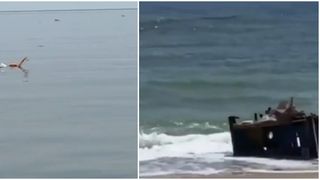 Organizația Mondială a Sănătății (OMS) spune că holera și alte boli transmise prin apă reprezintă un risc în Ucraina, după distrugerea Barajului Kahovka.