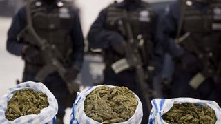 Un bărbat din Bistrița-Năsăud a introdus droguri în țară prin intermediul unei firme de curierat. Polițiștii au intervenit