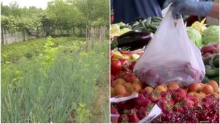 VIDEO - Bugetul alimentar &icirc;n Rom&acirc;nia: mediu rural vs. oraș - Cum aduce cultivația proprie un avantaj financiar &icirc;ntr-un context urban dificil