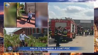 Hala cu palmieri a luat foc