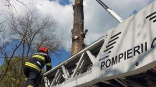 UPDATE: Copilul a decedat. Un copil a căzut în râul Uz, în Bacău. Echipajele de salvare au intervenit de urgență