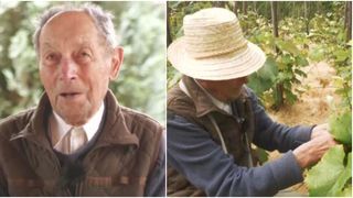 Fermierul centenar din nordul țării: O lecție despre simțul datoriei și munca neobosită