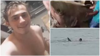 VIDEO - Rechinul care a mâncat un bărbat de viu, a fost prins. Resturile tânărului au fost găsite în stomac