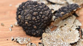 Un bărbat a fost prins de jandarmi cu  patru kilograme de trufe într-o pădure