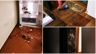 Casa de vacanță din Predeal a unui medic celebru, devastată de un urs: ”Putea oricând să intre peste noi”