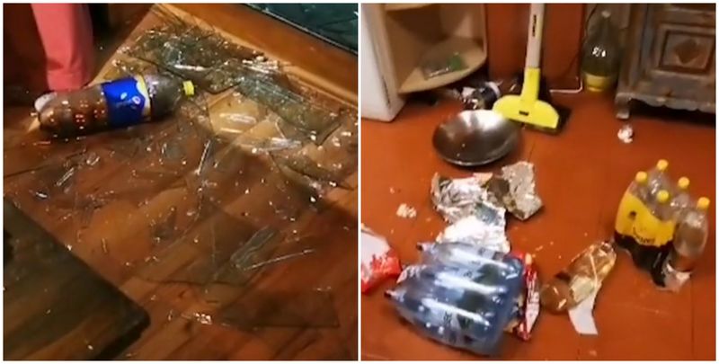 După ce s-a ospătat din frigider şi a lăsat dezastru în urma sa, animalul şi-a continuat nestingherit vizita prin casa de vacanţă.