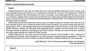 Subiecte Română Evaluare Națională 2023. Modele de subiecte pentru elevi!