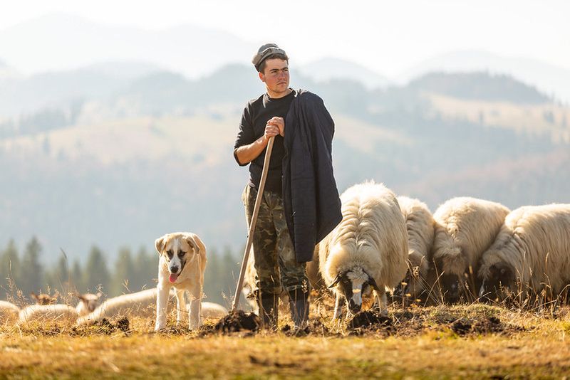 Via Transilvanica a câștigat Premiul European pentru Patrimoniu