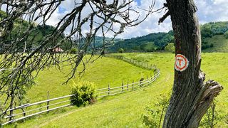 Via Transilvanica a câștigat Premiul European pentru Patrimoniu