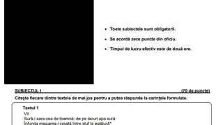 Edu.ro Subiecte Română Evaluare Națională 2023. 