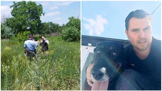 O femeie care a plecat de acasă și nu s-a mai întors a fost găsită de polițiști cu ajutorul unui câine de urmă, în Vrancea