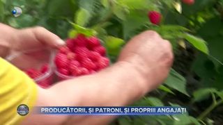 Producătorii, și patroni, și propriii angajați