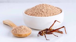 VIDEO - Agricultura sustenabilă în prim-plan: Noul ministru al Agriculturii vrea interzicerea făinii de greier și a cărnii sintetice în România