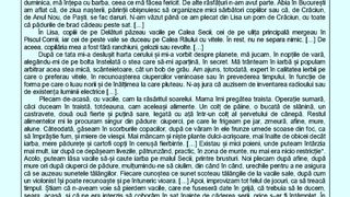 Barem Rom&acirc;nă Evaluare Națională 2023. Iată cum poți obține nota maximă!