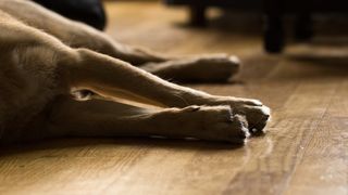 Dosarul a fost trimis spre judecată la Judecătoria Agnita, zilele trecute fiind pronunțată prima sentință pe fond: 2 ani și șase luni de &icirc;nchisoare cu suspendare.