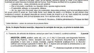 Edu.ro Subiecte Rom&acirc;nă Evaluare Națională 2023. Ce subiecte ar putea pica?