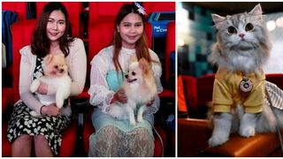 Țara în care s-a deschis primul cinematograf unde poți să mergi cu animalul de companie la film