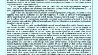 Subiecte Evaluare Naționala Rom&acirc;nă 2023