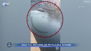 Asaltul rechinilor pe plajele Spaniei