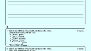 Subiecte Română Evaluare Națională 2023